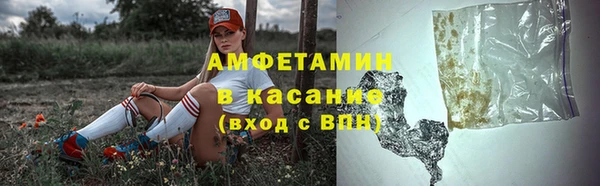 ПСИЛОЦИБИНОВЫЕ ГРИБЫ Горняк